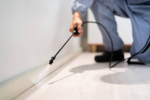 Licensed Cockroach Control service in Yorkshire, VA - Nex Pest Control