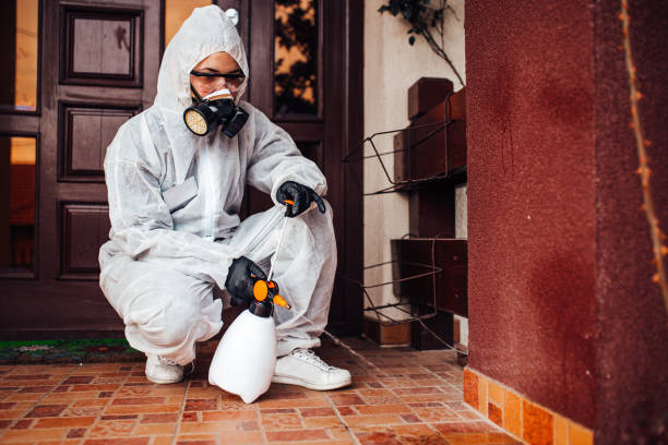 Reliable Cockroach Control contractor in Yorkshire, VA by Nex Pest Control